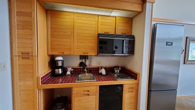 Compact kitchen with cooktop, dishwasher, microwave & fridge