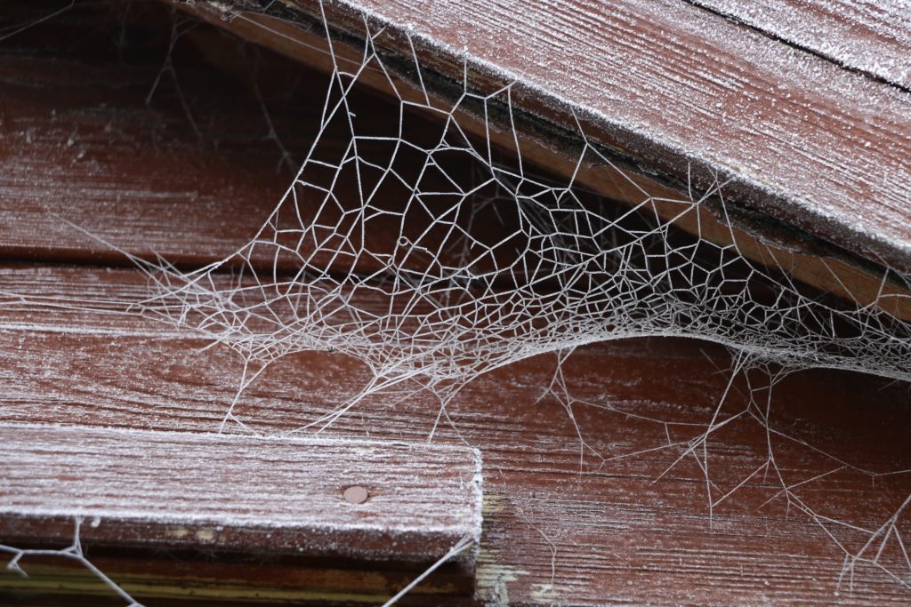 Cobwebs on a home as it takes longer to sell in the current Summit County real estate market